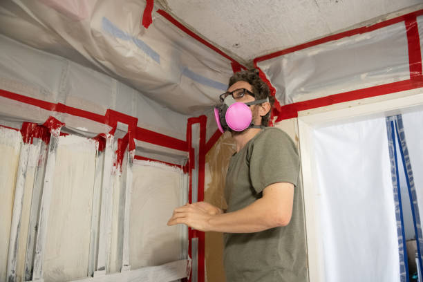 Reliable Trinity, FL Mold Removal Solutions