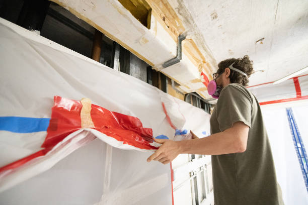 Best Real Estate Mold Inspection  in Trinity, FL